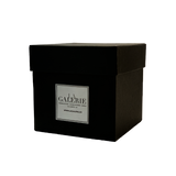 GIG "FROSTED GOLD" - THEMA PASSION