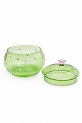 Ichendorf Desert Plants boîte cactus vert avec fleur rose