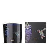 BOUGIE HUMMINGBIRD