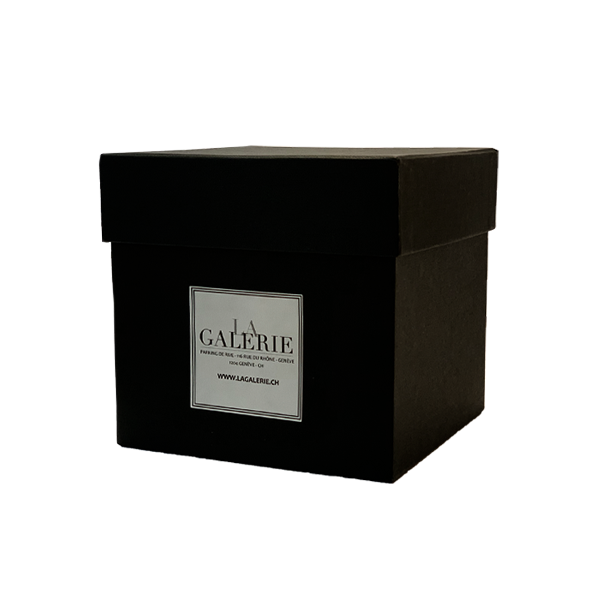 GIG "SWISS MILK" - THEMA PASSION